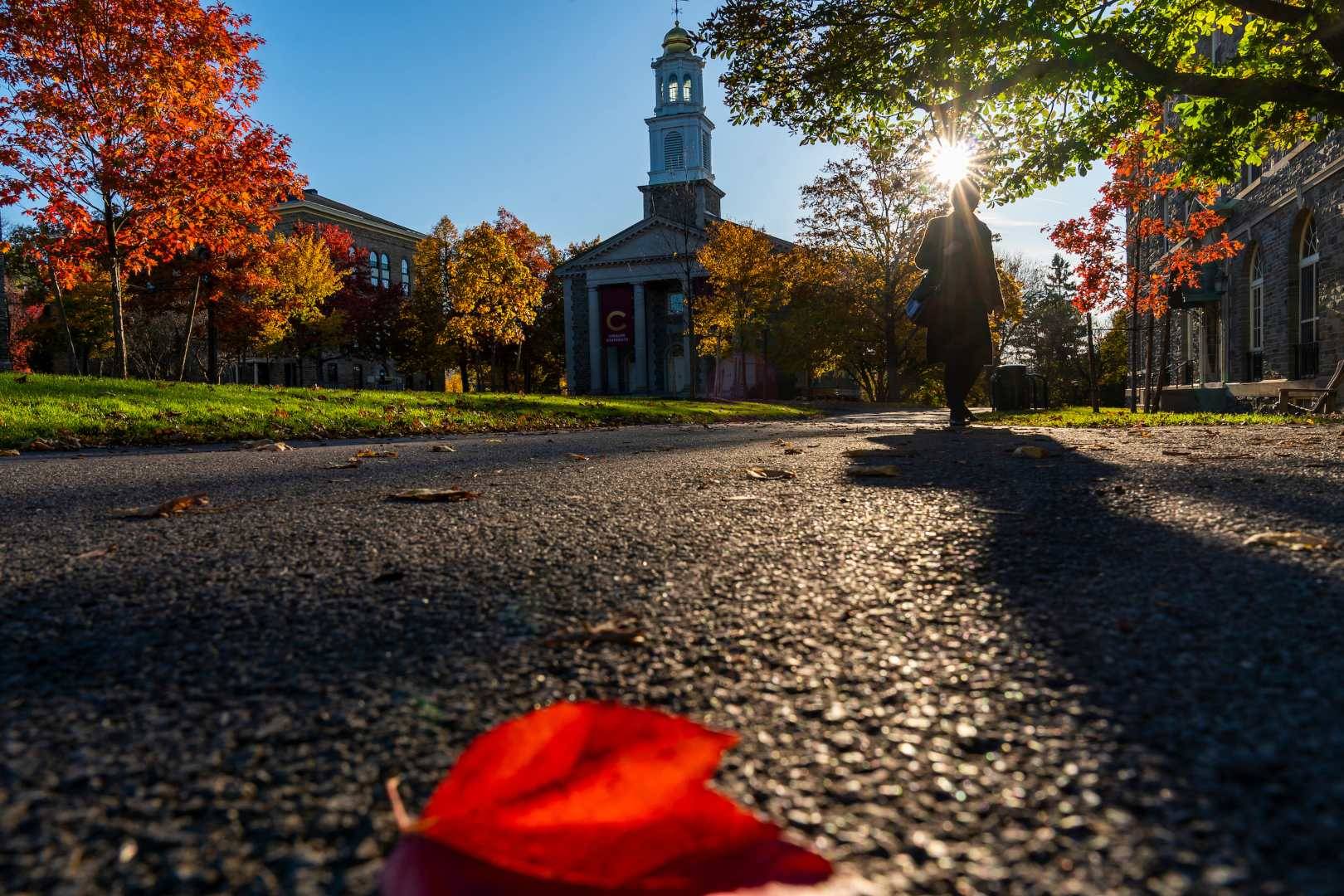 fall image of the Academic Quad