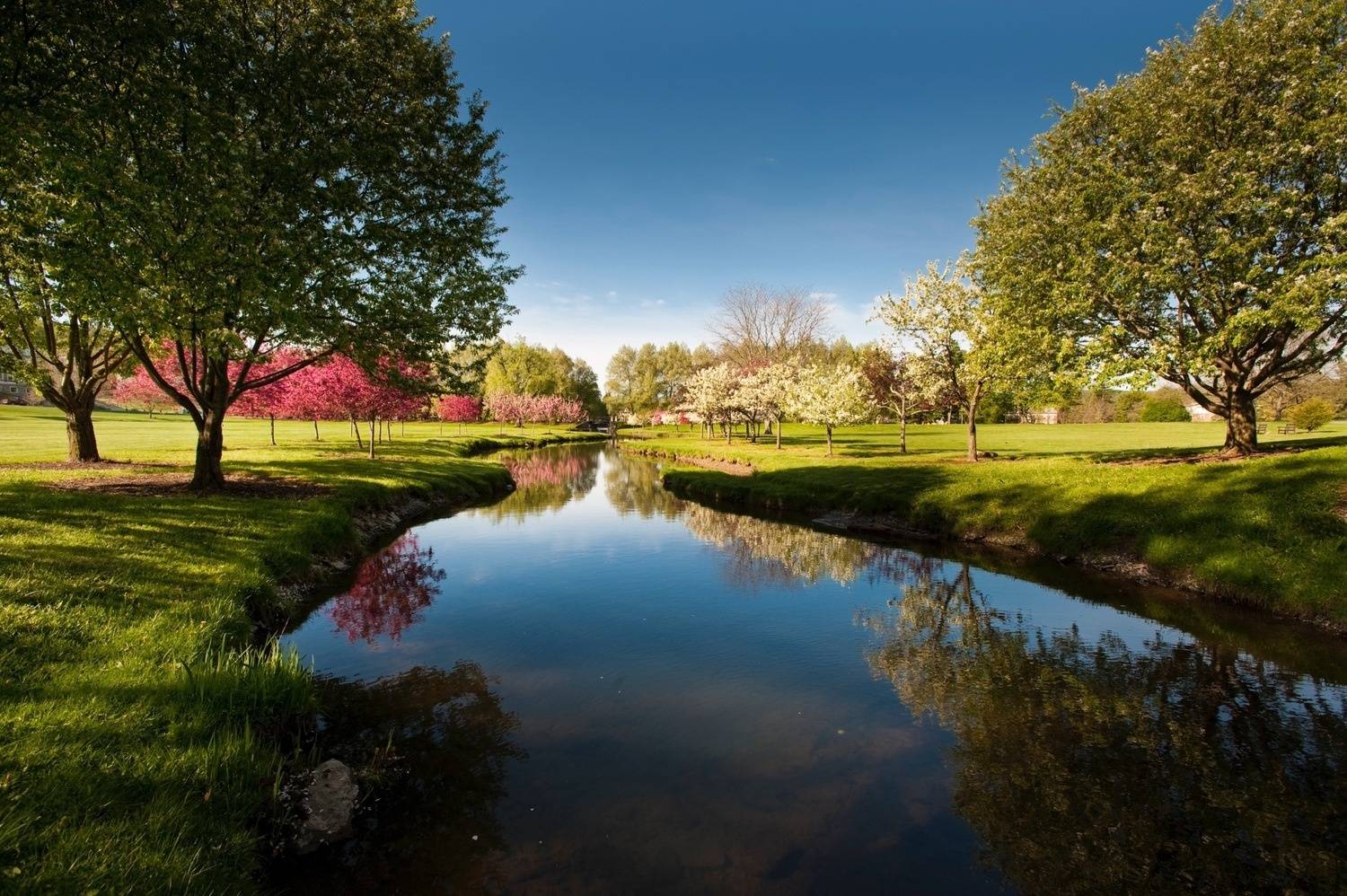 Image of Payne Creek across Colgate campus.