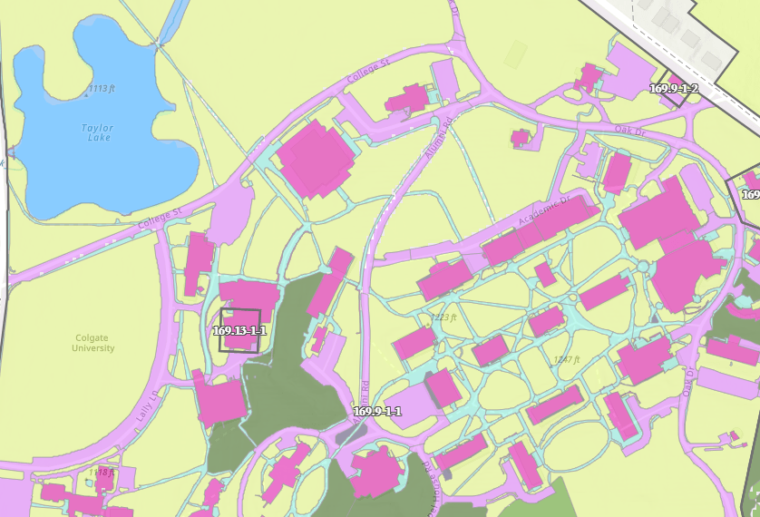 Zoom in of Colgate's campus color coded by land cover type