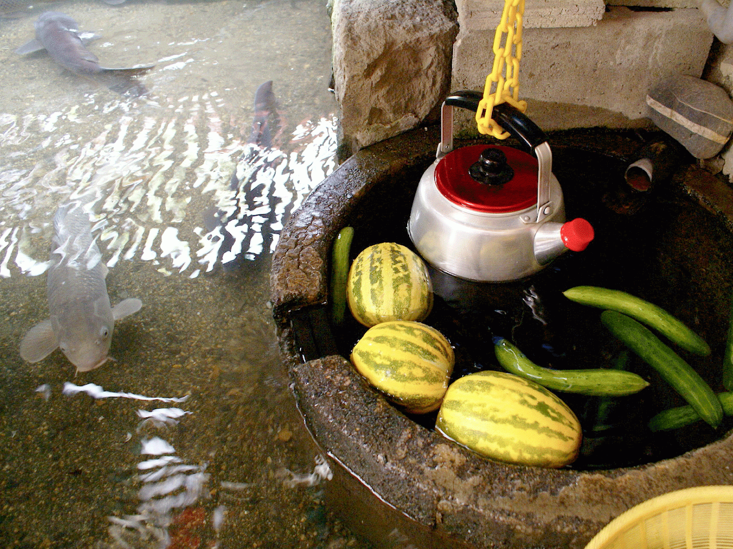 pond containing koi and tray of vegetables and tea kettle