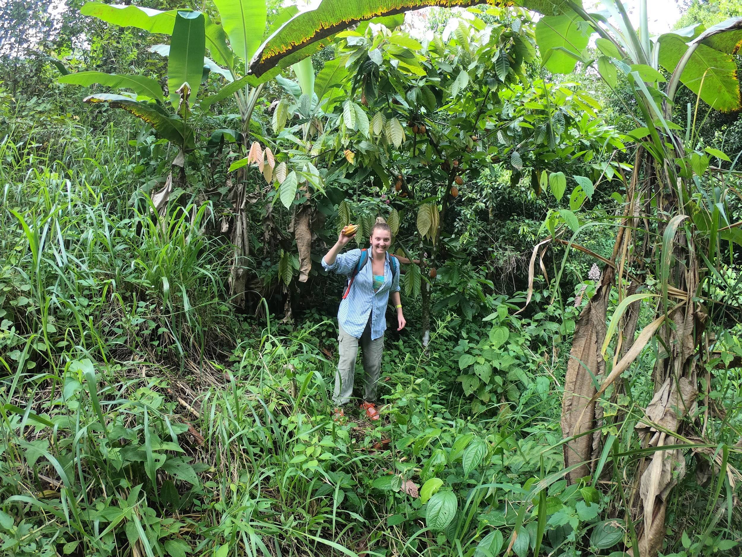 Sierra DeAngelo '20: Touring a Reforestation Site in Costa Rica