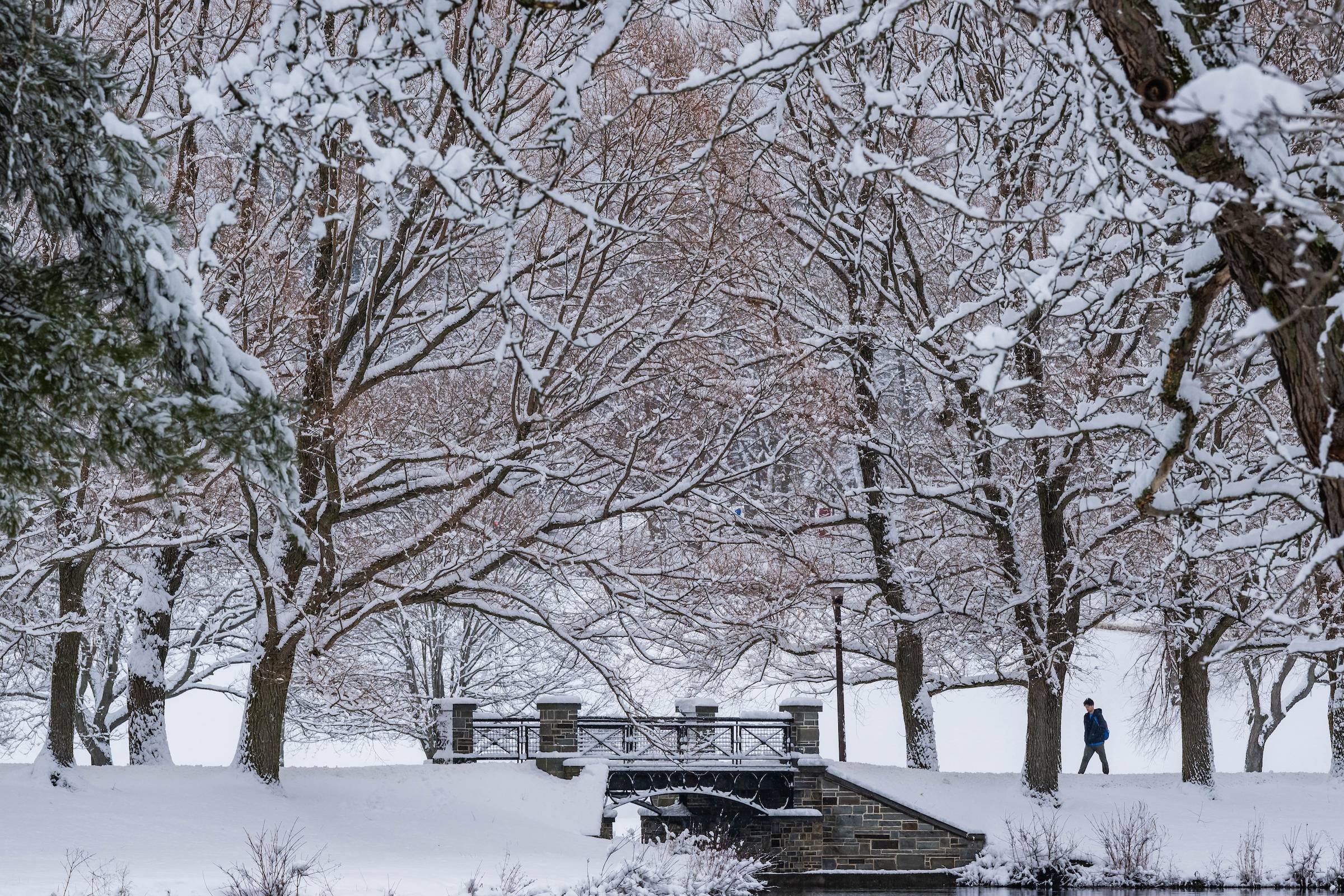 A serene winter scene featuring snow-covered trees and a small bridge in the background, with a solitary person walking in a park.