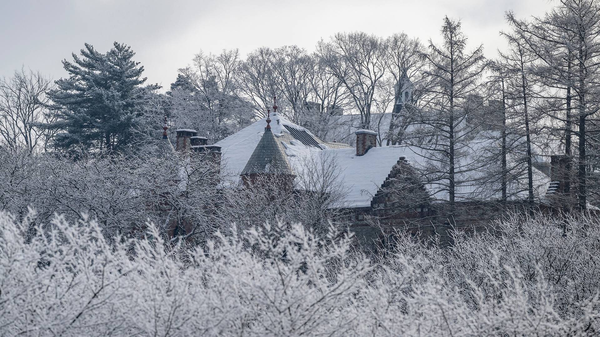 Colgate hillside in winter