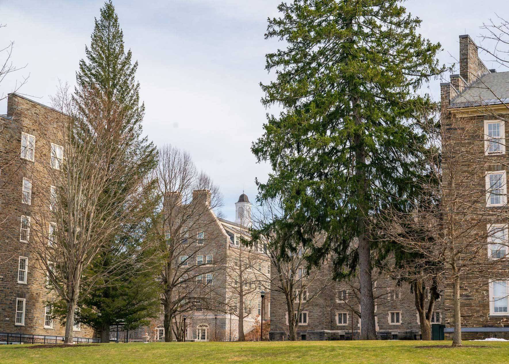 Empty Residential Quad