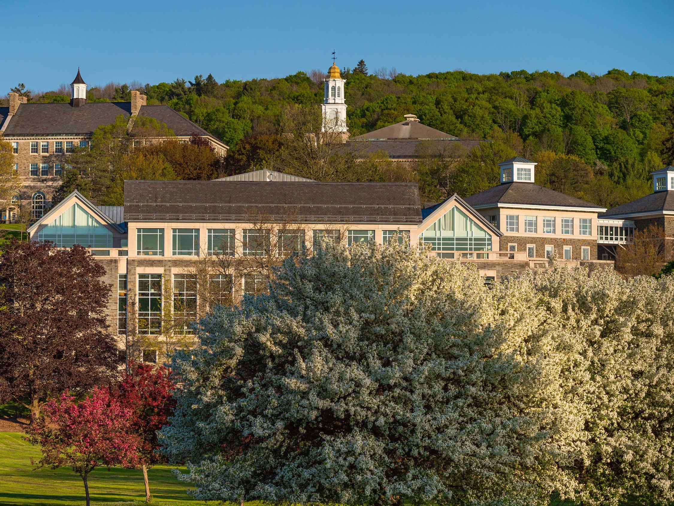 Campus buildings under blue skies