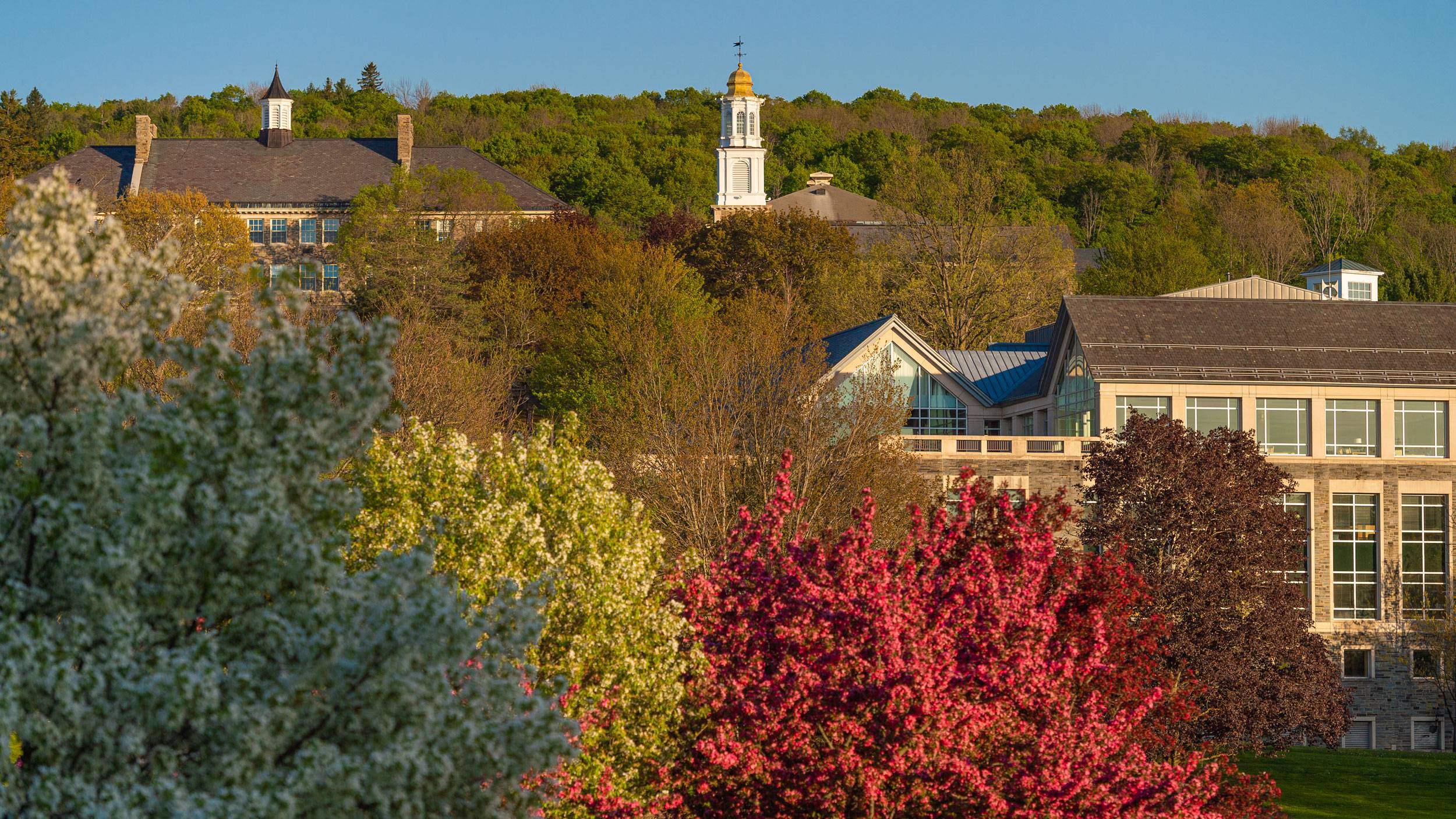 Memorial Chapel above foliage on the hill