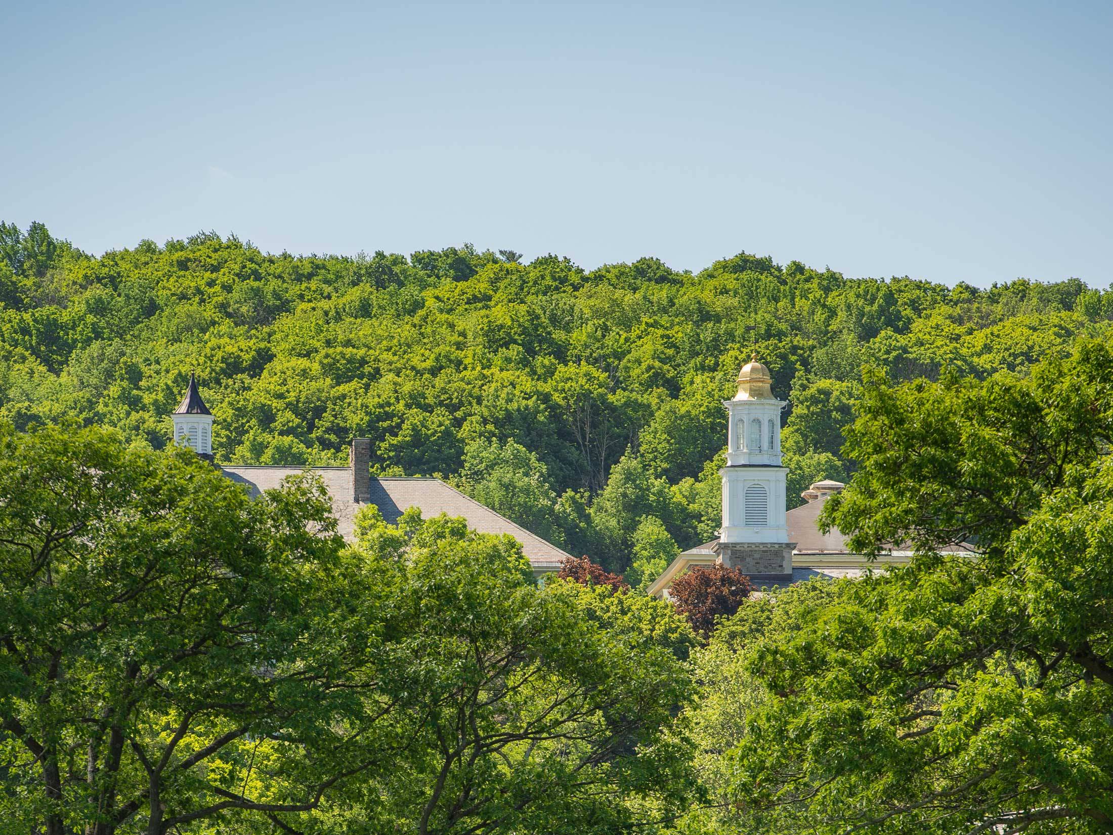 chapel surrounded by green trees