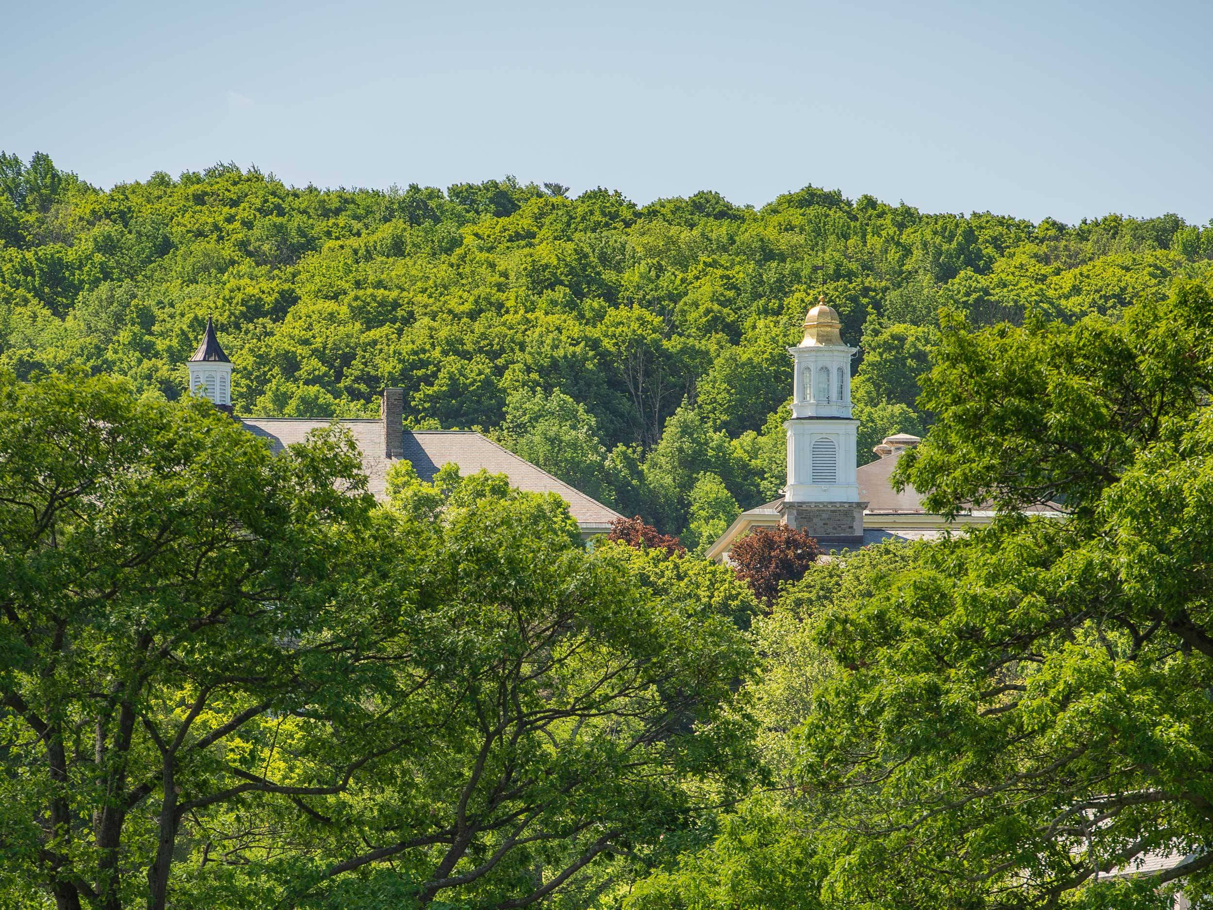 Campus buildings surrounded by trees