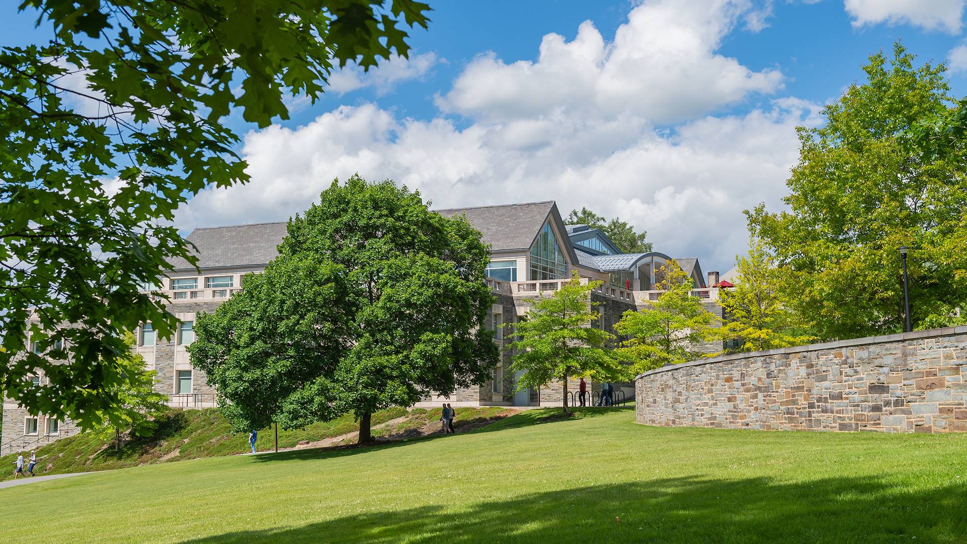 Campus scenic in summer