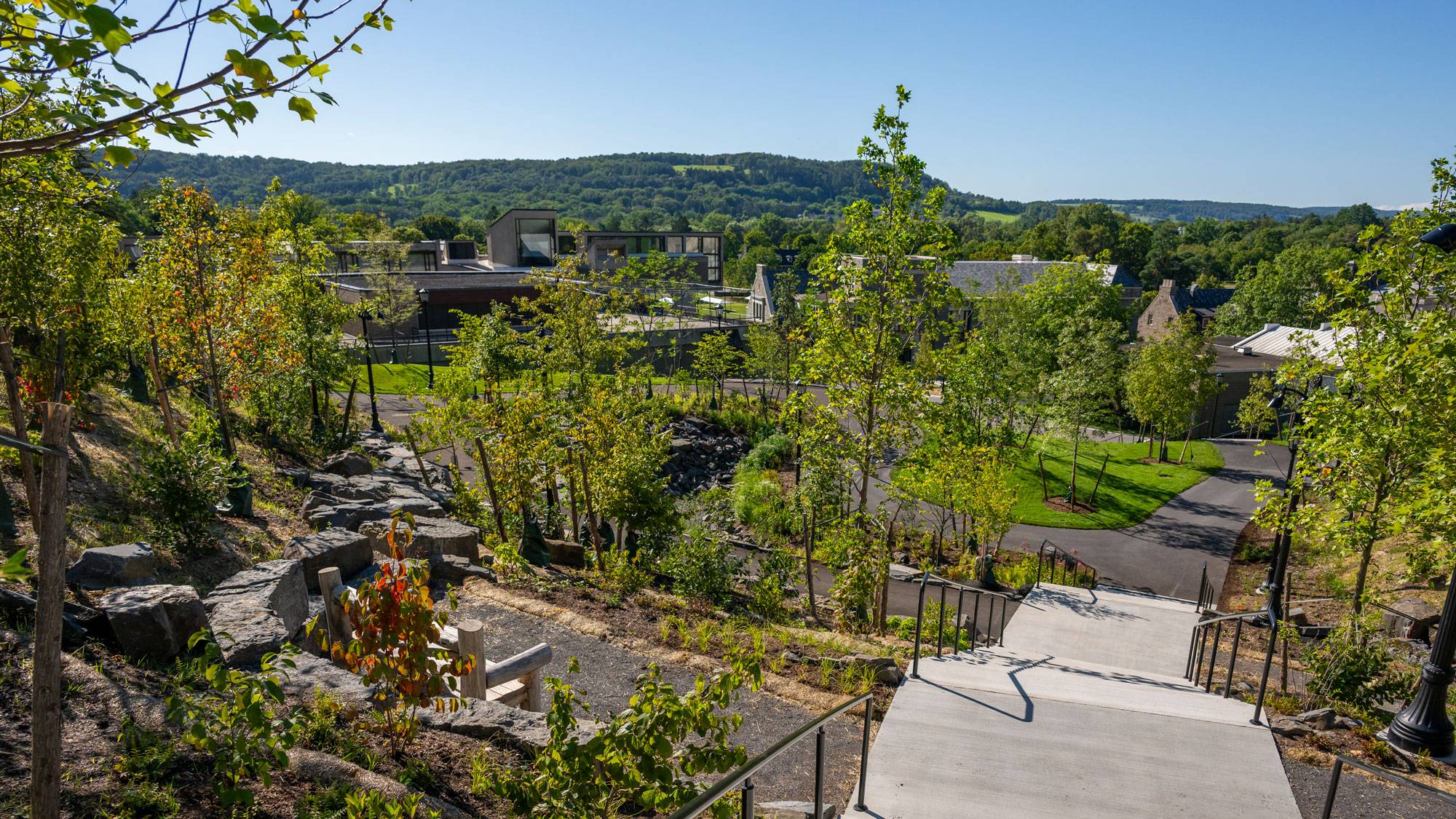 View from the top of Peter’s Glen