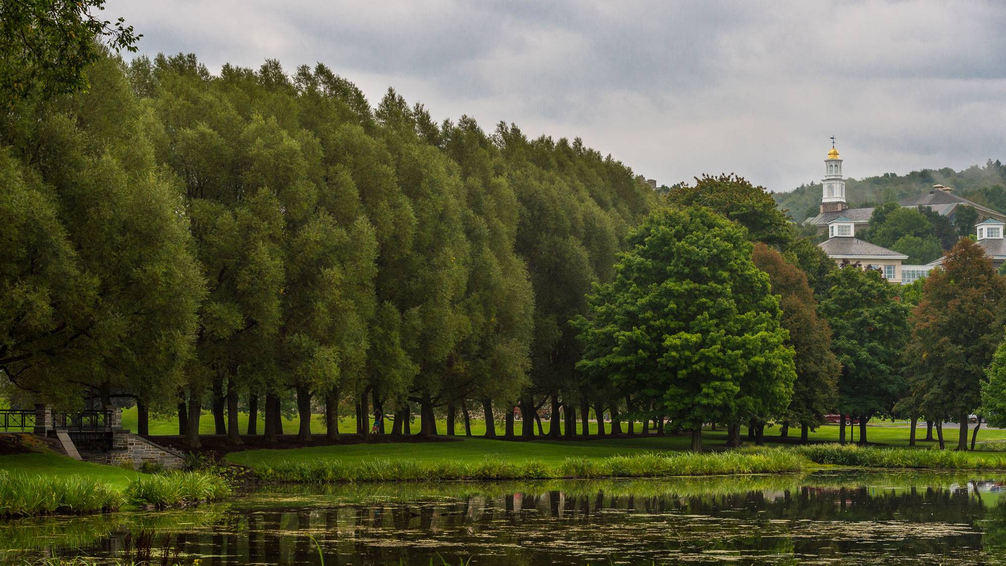 Willow path and campus