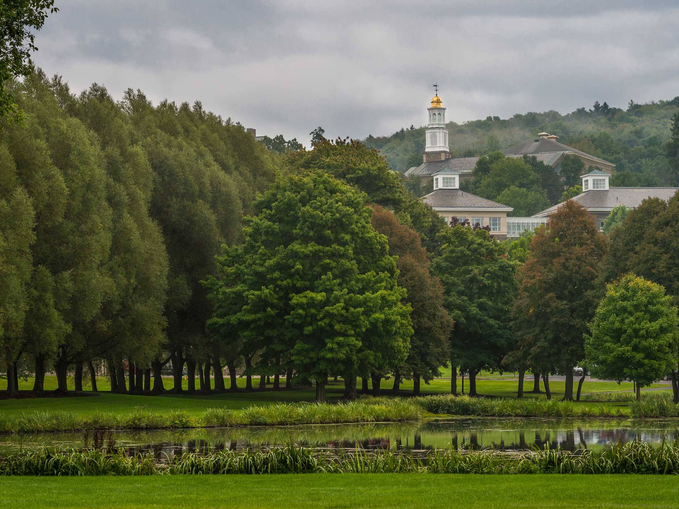 Green trees of campus