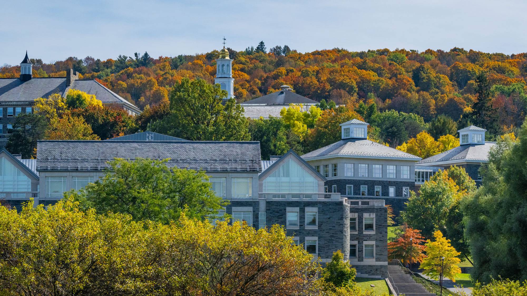 scenic view of campus in autumn