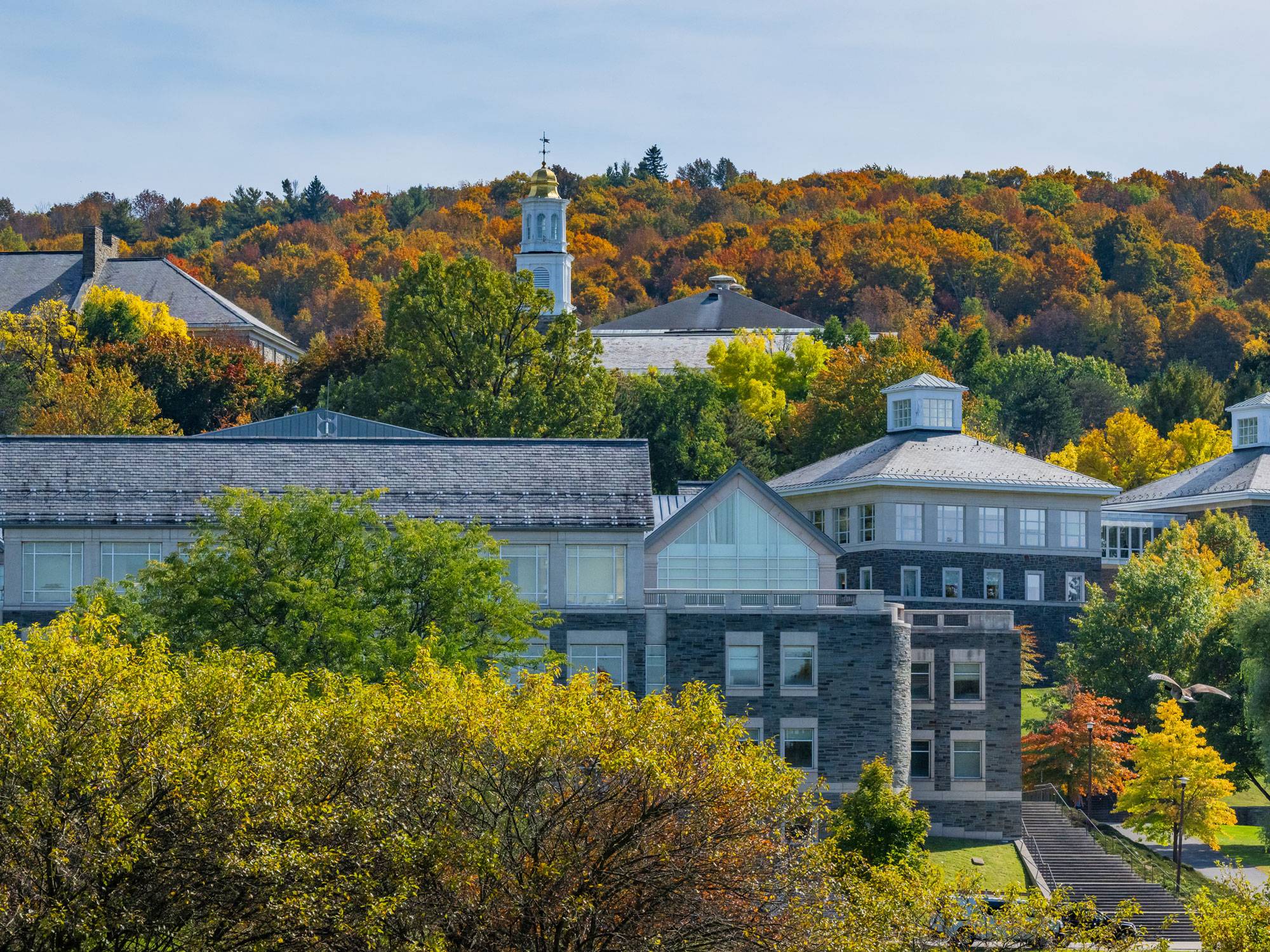 View of Colgate in autumn