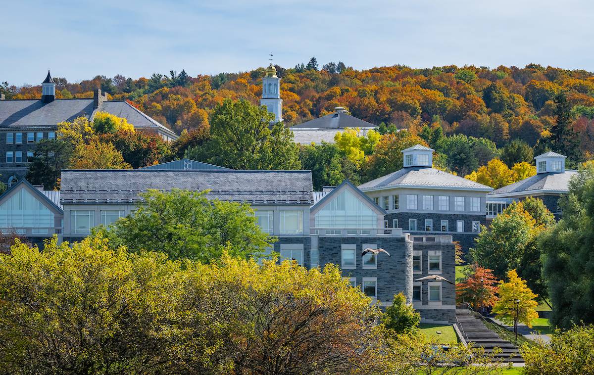 An image of campus in the fall.