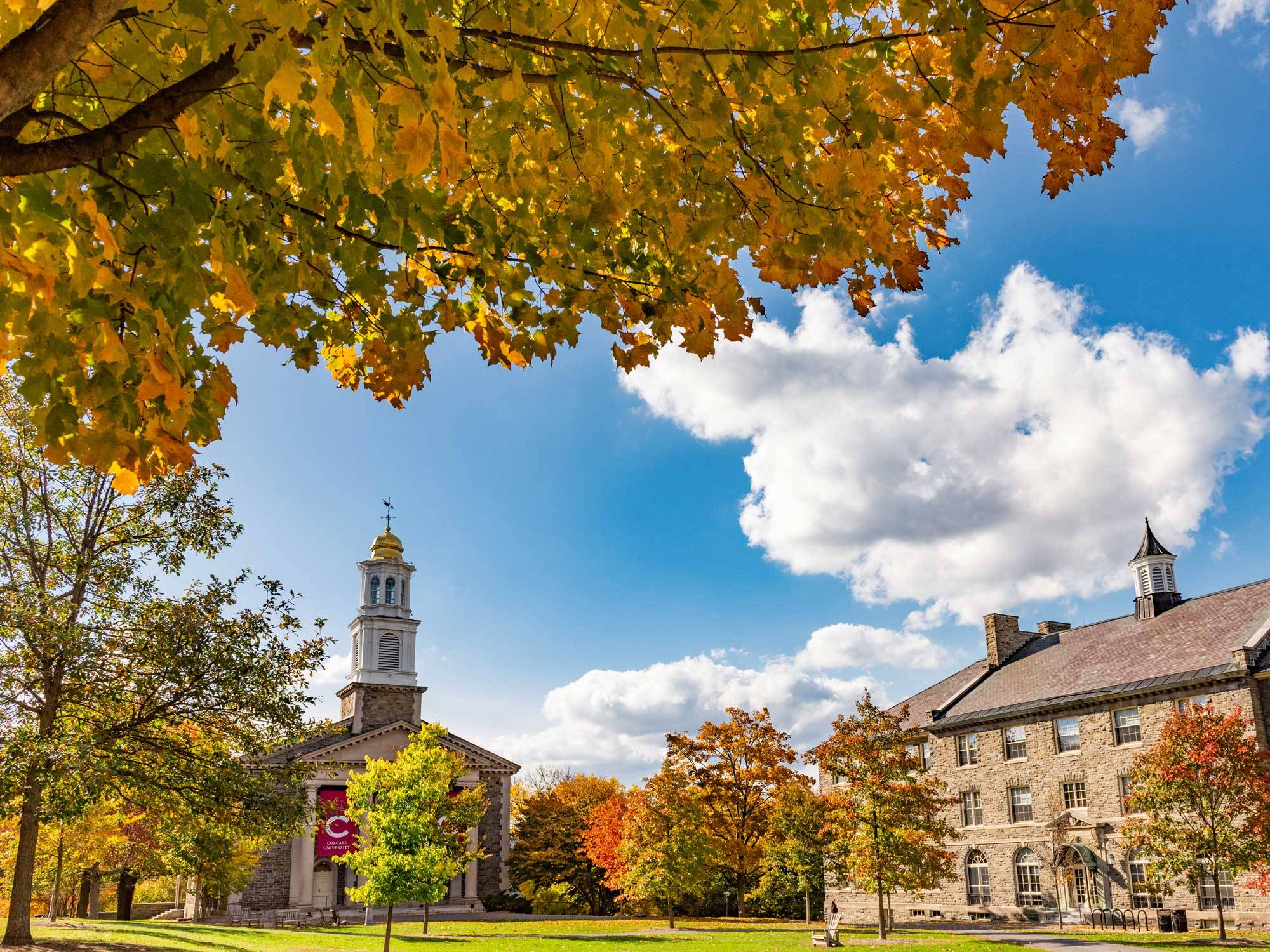 Autumn foliage on the academic quad