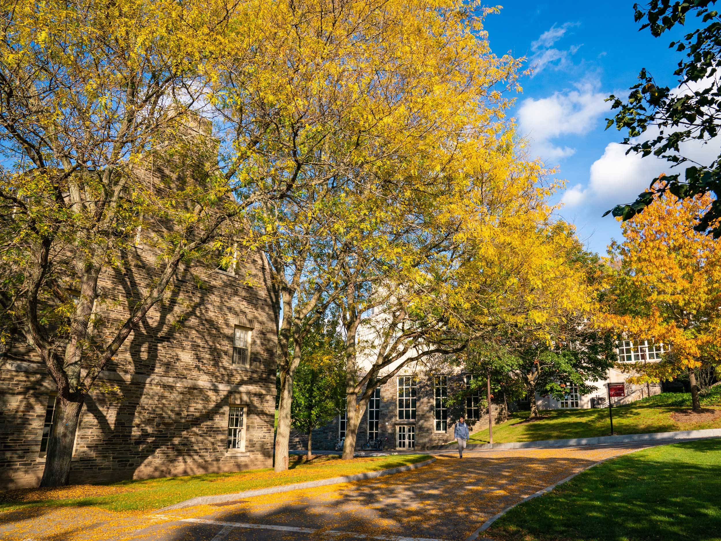 Community member walks through Middle Campus