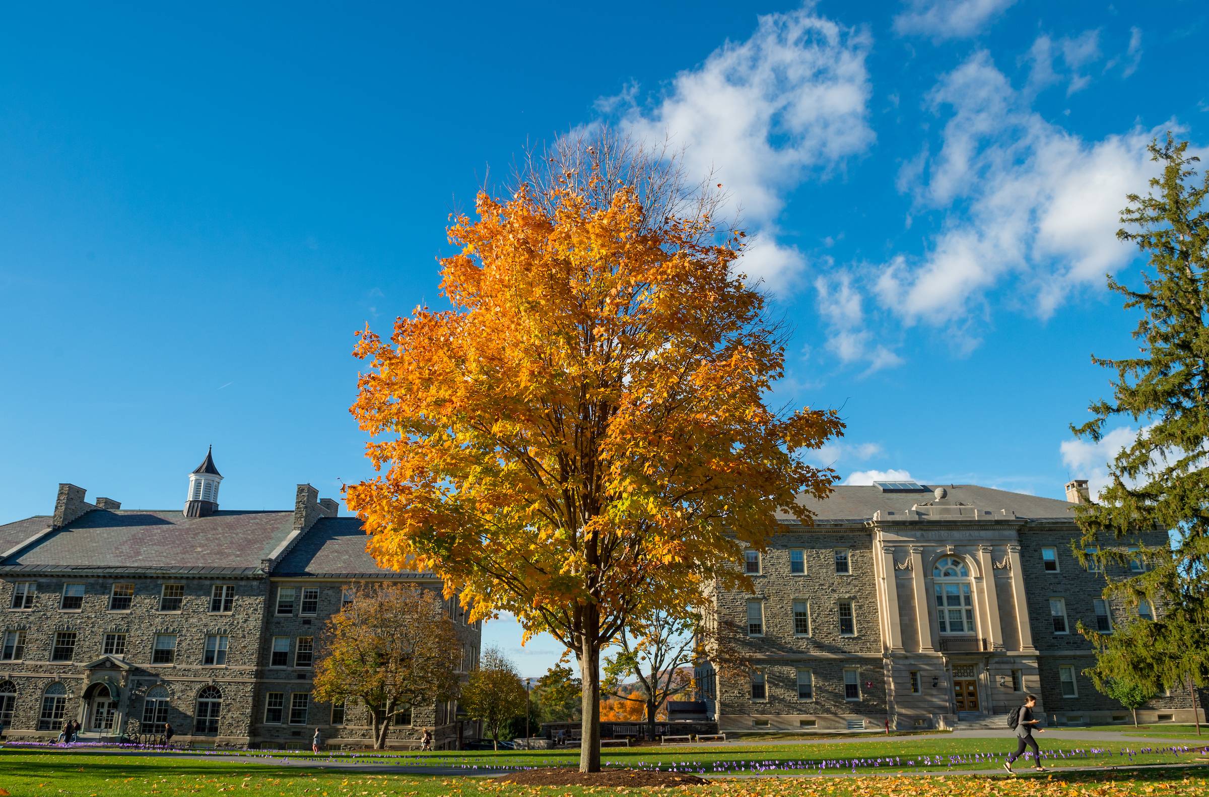 Fall on Colgate's campus