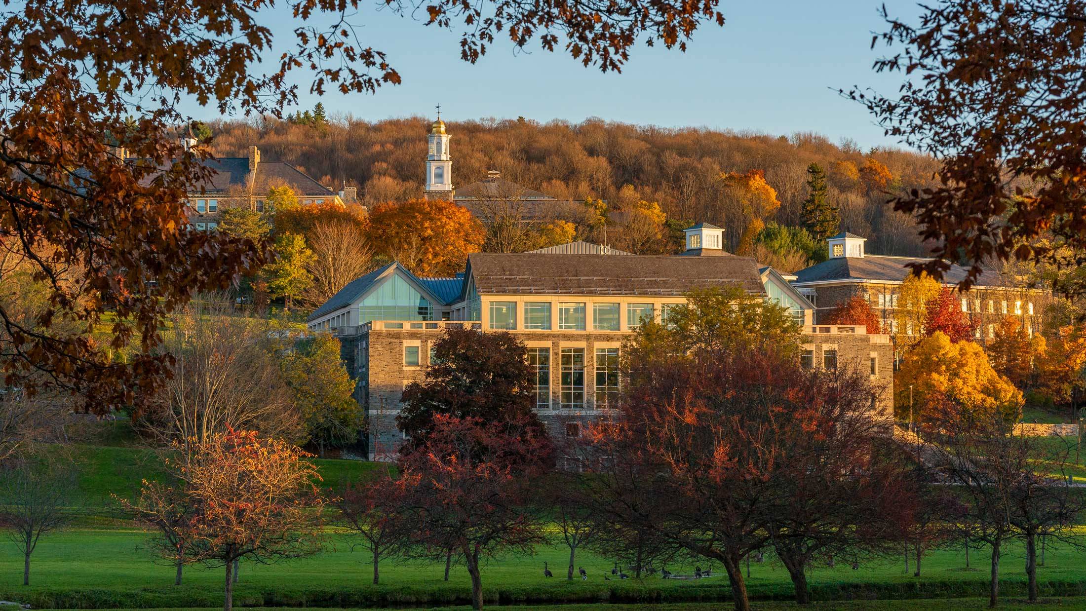 Campus scenery in autumn