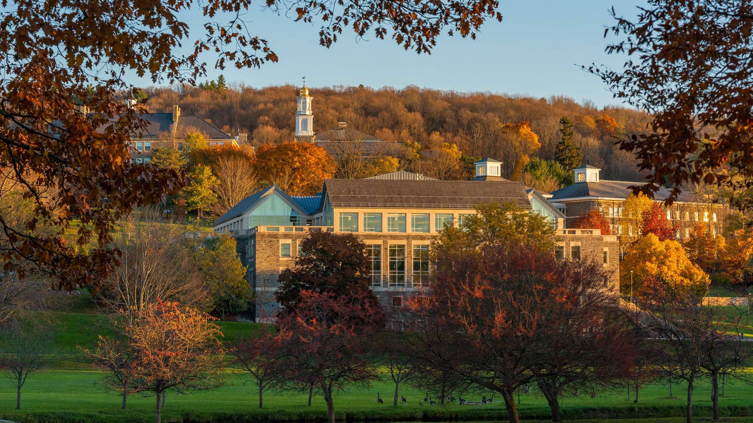 View of campus in autumn