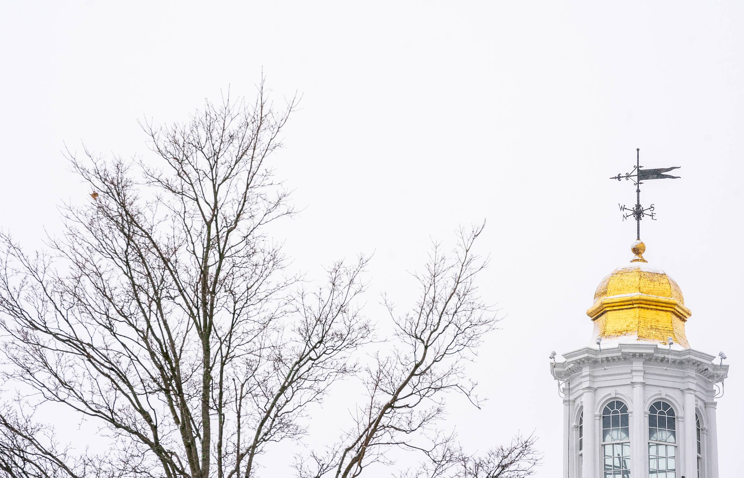 A snowy scene featuring a leafless tree on the left and the gold-domed top of Colgate Memorial Chapel, under a grey overcast sky.