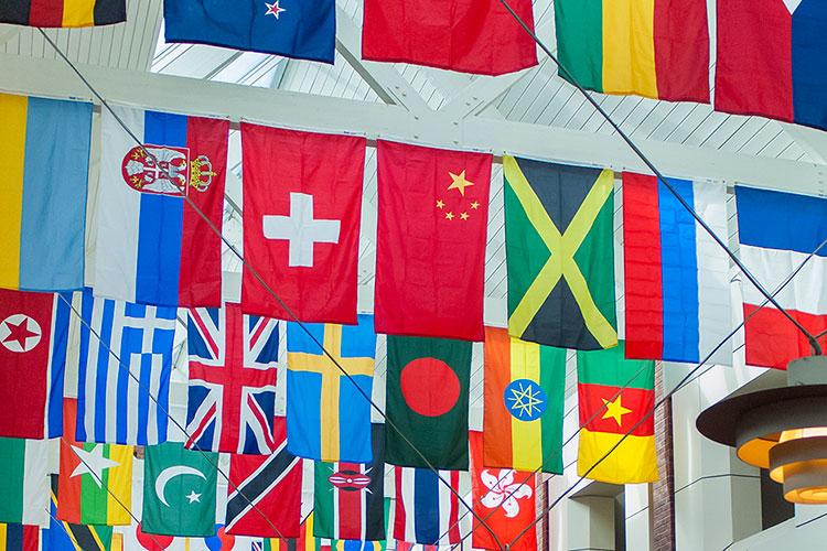 Collection of international flags flying in Frank Dining Hall