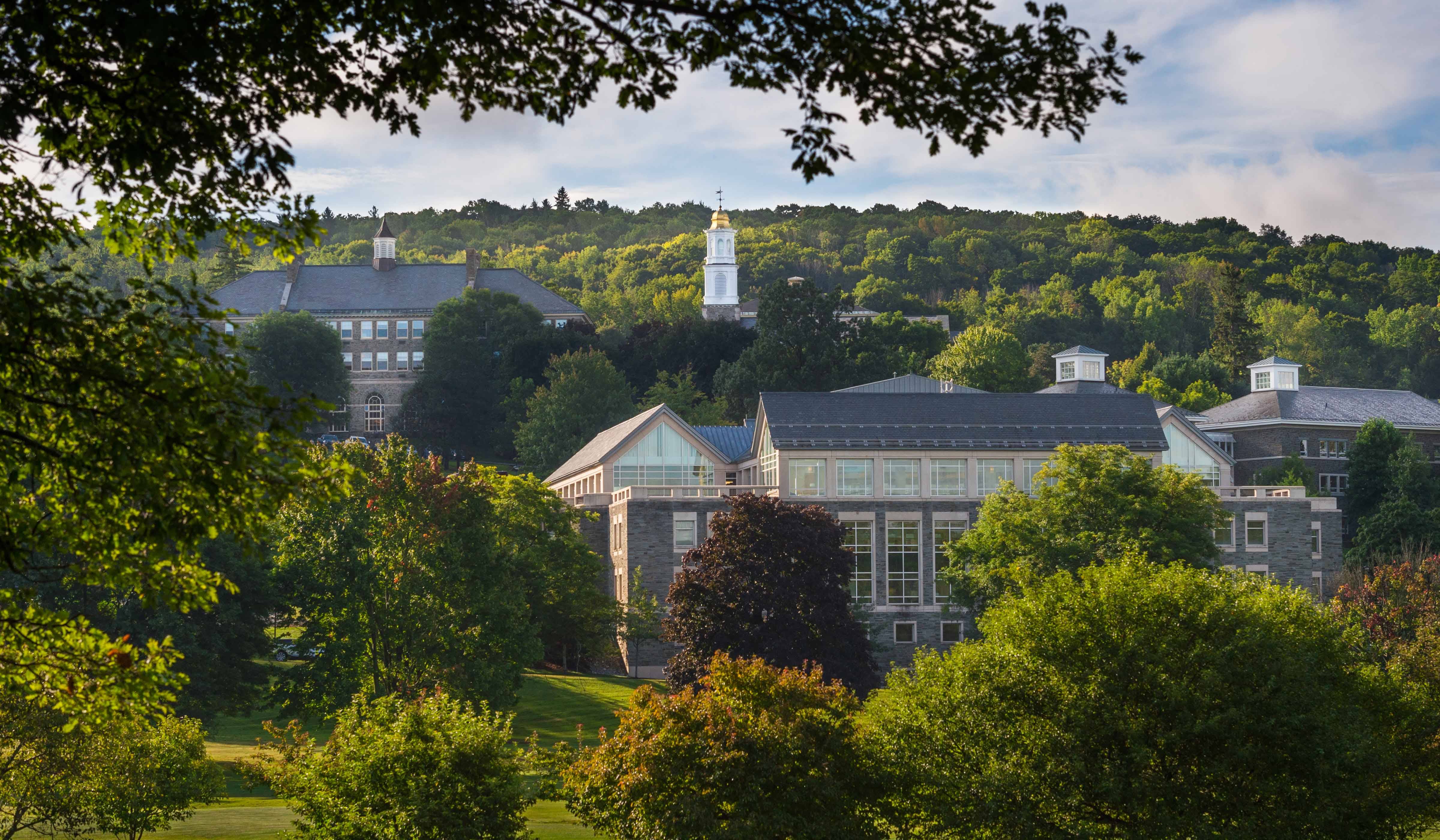 campus in summertime