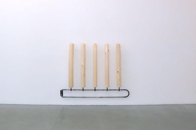 An installation in the Sessile exhibition at the Clifford Gallery at Colgate University