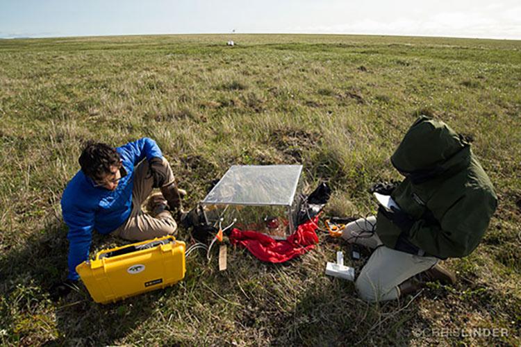 Sal Curasi ’15 , pictured here doing research in the field