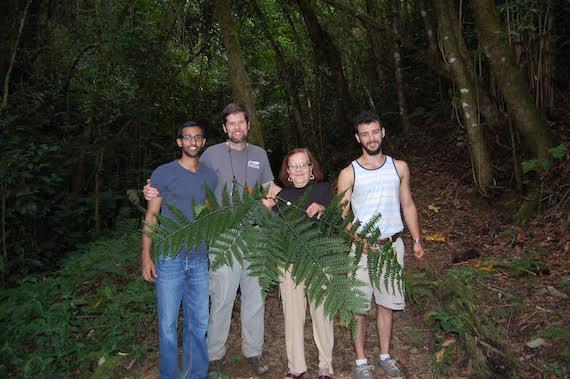 Researchers hold the fern they discovered