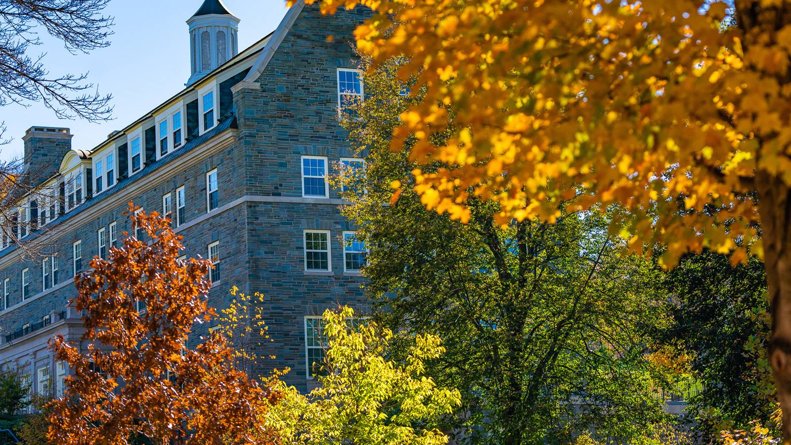 Autumn on Colgate's campus.