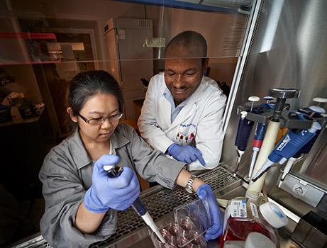 Changchang Liu, Colgate class of 2015, works with biology Professor Engda Hagos on cancer research during a 2014 summer internship.