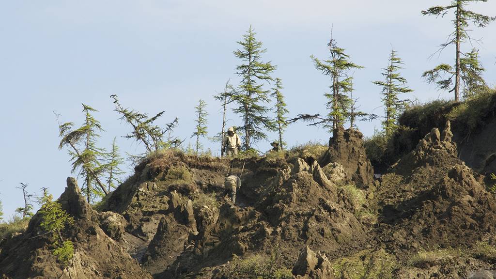 An example of permafrost heaving in Siberia.