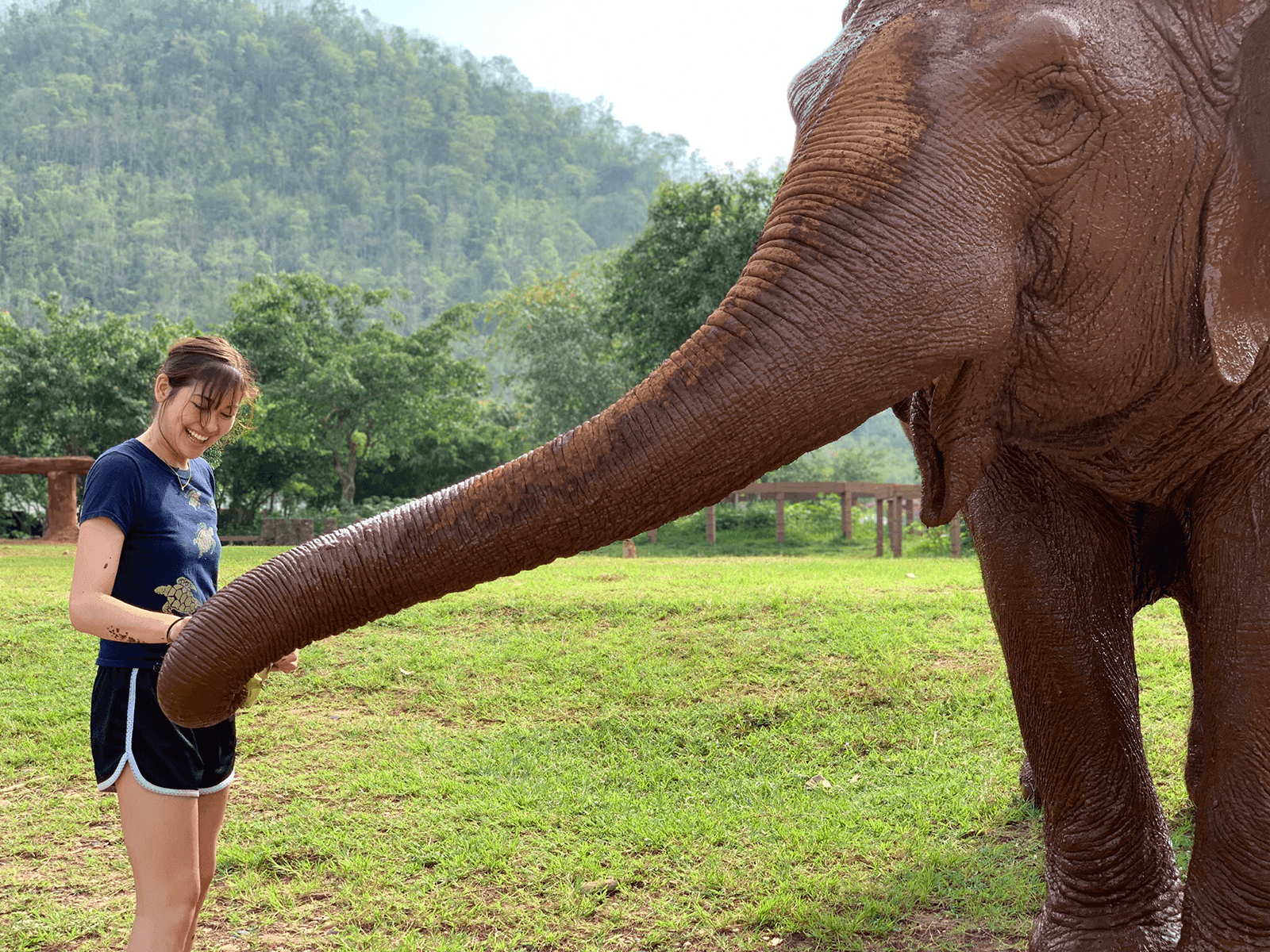 Audrey Ponder poses with one of the elephants she helped care for this summer.