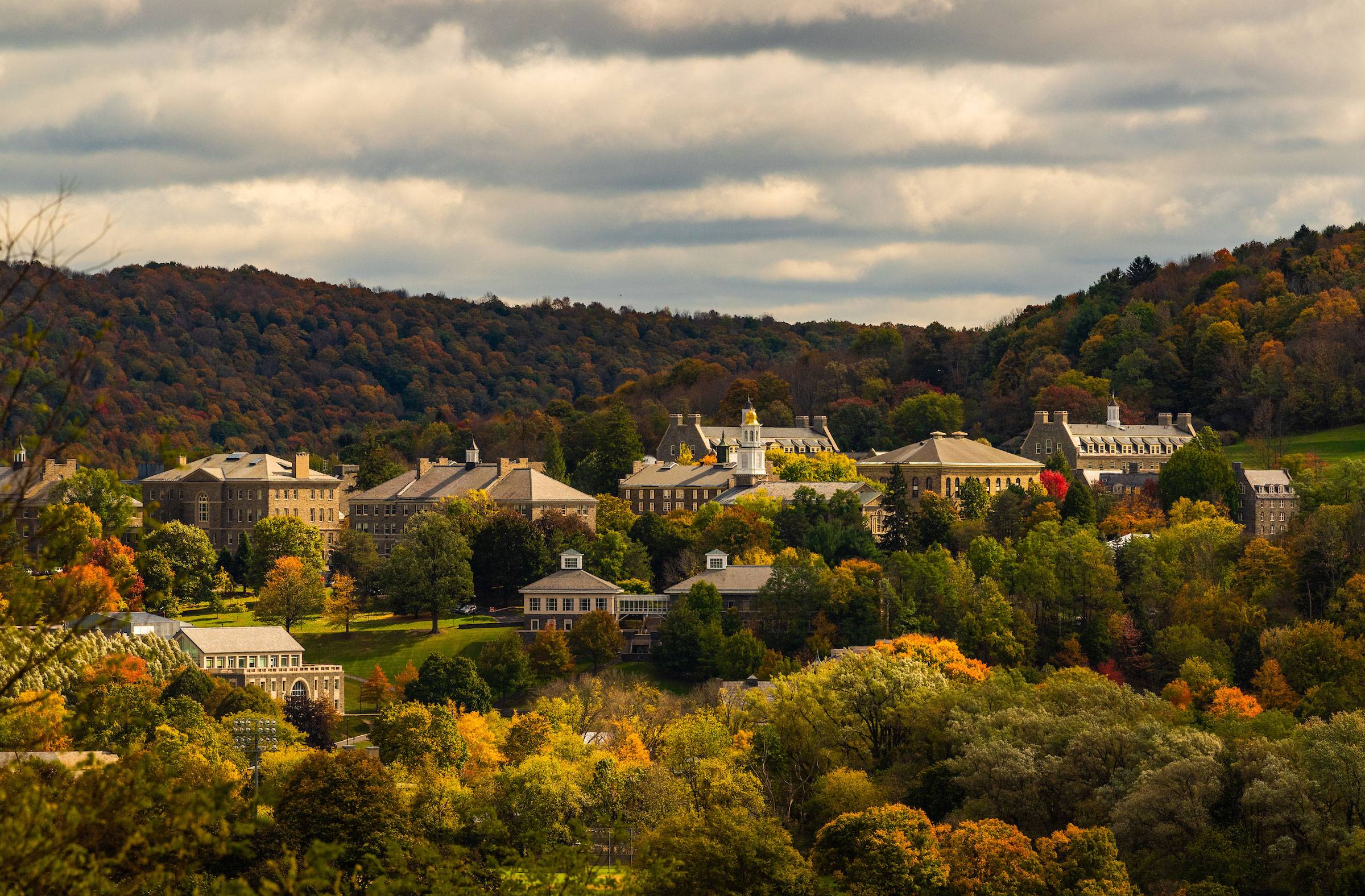 Campus on a fall day