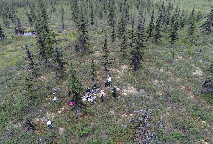 Field researchers in Siberia