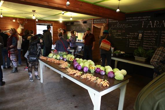 The image is of a huge table of fresh picked fruits and vegetables