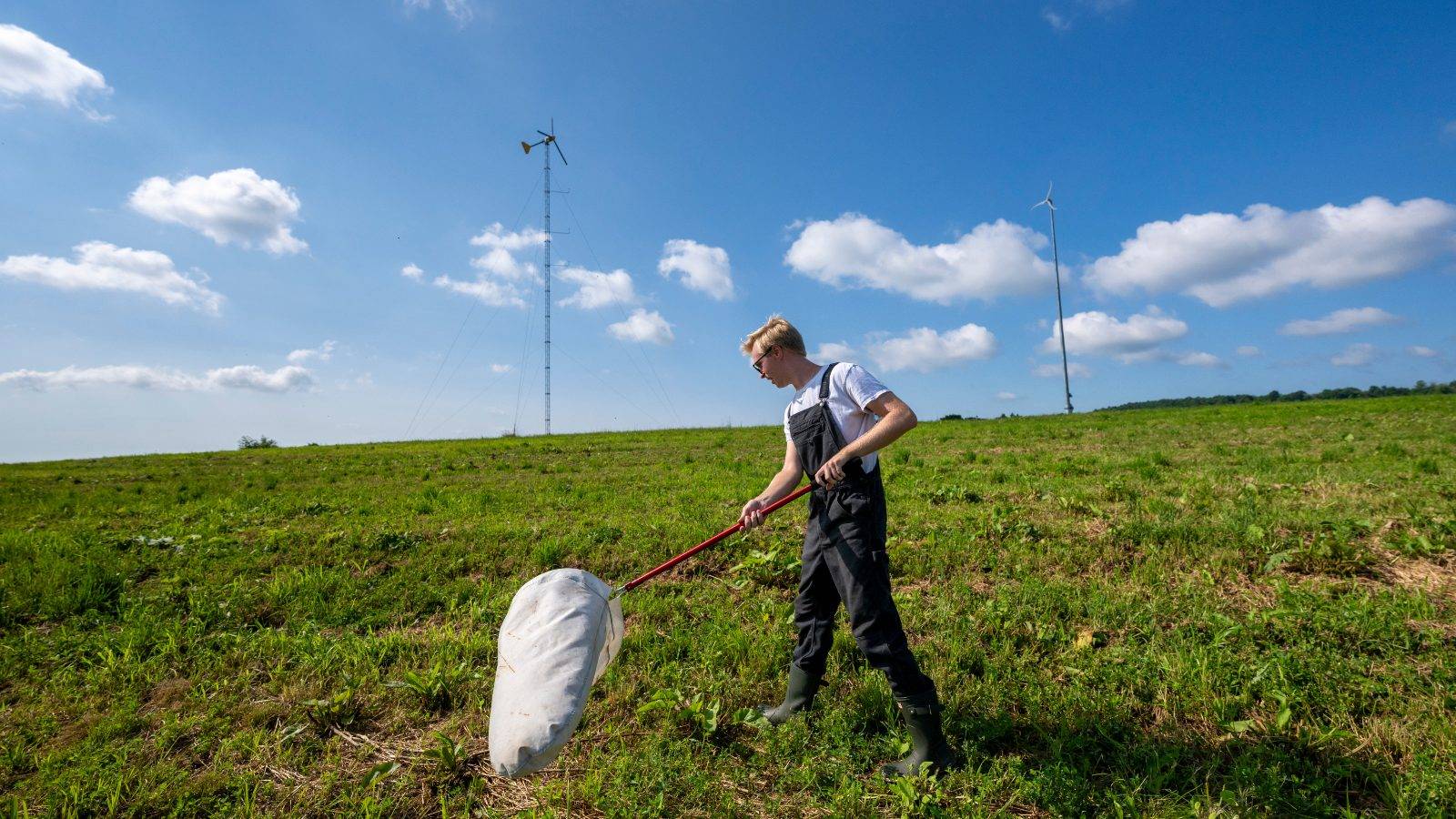 Upstate Institute Summer Field School Fellow Zachary O’Donnell ’27 sweeps an alfalfa field at a farm in Morrisville this summer as part of a research project working with the Cornell Cooperative Extension Central New York Dairy, Livestock, and Field Crops Team. 