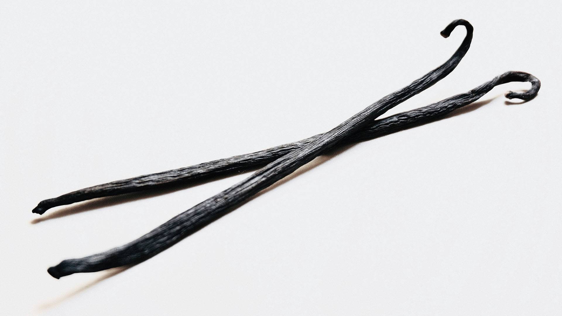 Two vanilla bean pods