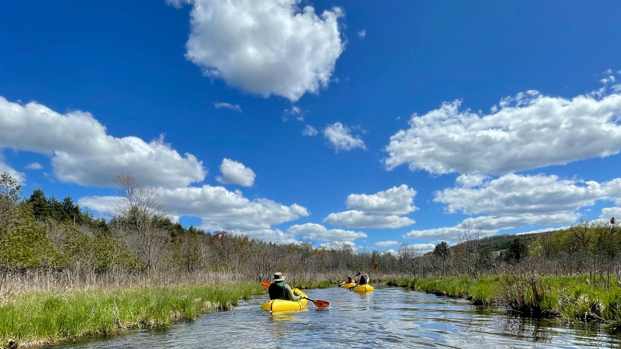 Kayakers paddle on creek